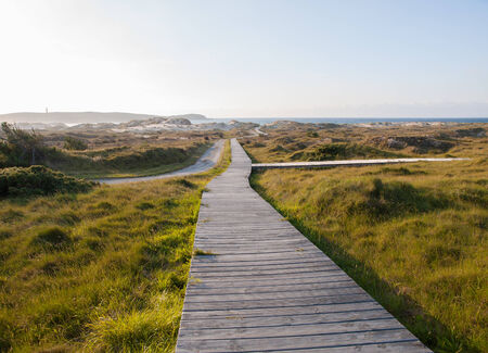 Boardwalk on the beach in a sunny day