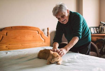 Elderly woman petting her cat on the bed at homeの写真素材