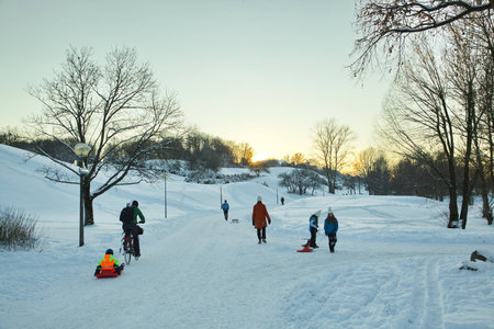 winter Landscape
