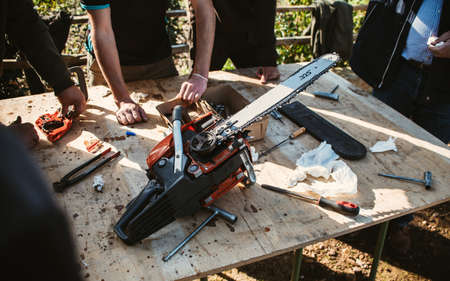 Team work of mechanics in workshop fixing a chainsaw for cutting trees in the forest. Agriculture,...