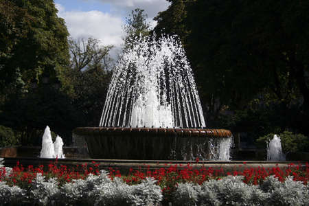 source in parkの写真素材