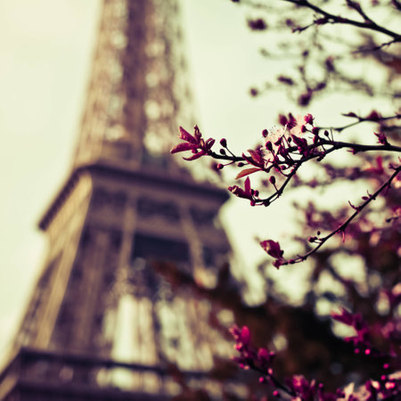 flower at eiffel towerの写真素材