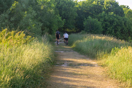 Bike riders cycling on a path in the forest
