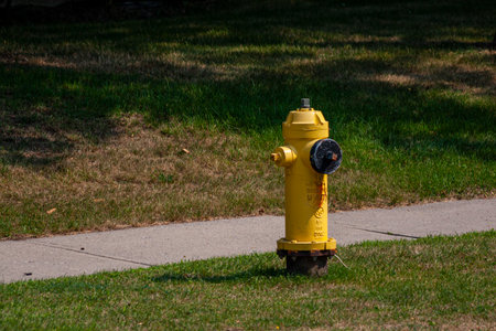 Toronto, Canada, August 2007 - Yellow fire hydrant on grass by a sidewalk in a residential neighbourhood of Torontoのeditorial素材