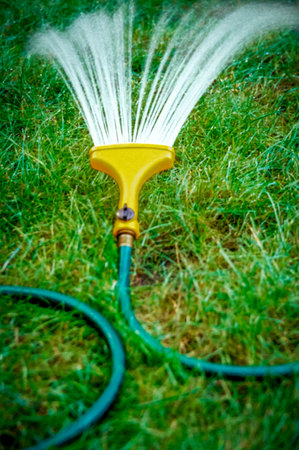 Water jet from sprinkler connected to a hose for lawn wateringの写真素材