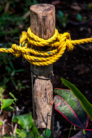 Wooden pole supported by knotted yellow ropeの写真素材