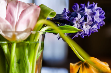 Blurred foreground and background of a vase with various flowers in a room. Purple flowers in focus.