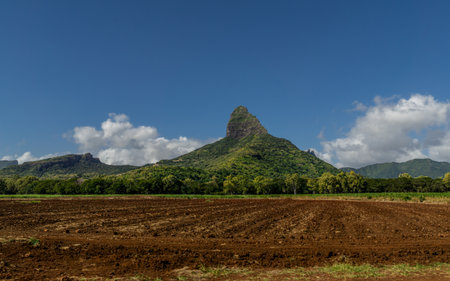 Tropical mountain landscape and farmland under clear blue Skyの写真素材