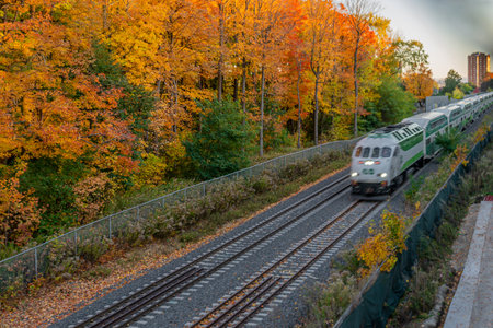 Commuter train passing through autumn forestの写真素材