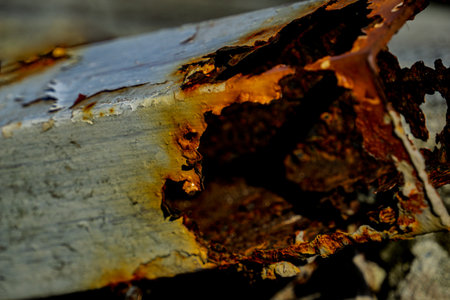 Severe Rust Corrosion on Weathered Metal Surfaceの写真素材