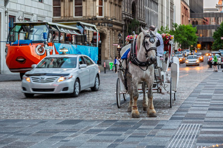 Horse-drawn carriage on busy city street in downtown Montreal, Canadaのeditorial素材