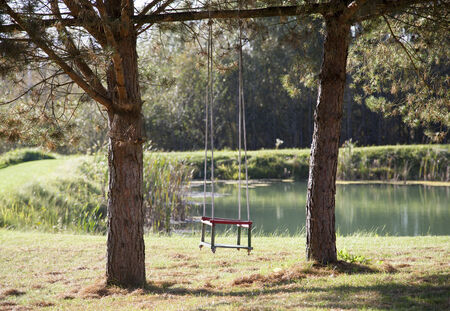 The swing hanging between two pines in Lithuanian countryside.の写真素材