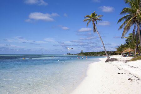 Morning view of the beach on Little Stirrup Cay (The Bahamas).のeditorial素材