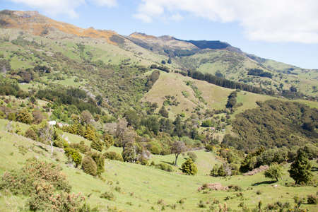 The scenic countryside outside Akaroa resort town.