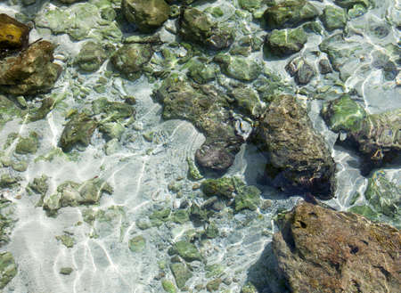 Crystal clear water on Mare island beach (New Caledonia).の写真素材