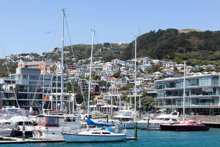 The view of the marina with Mount Victoria behind (Wellington, New Zealand).の写真素材