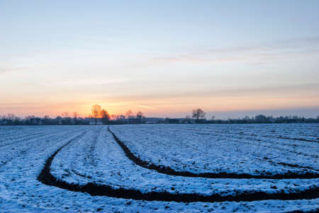 The winter view of a countryside after the Sun went down (Lithuania).の写真素材