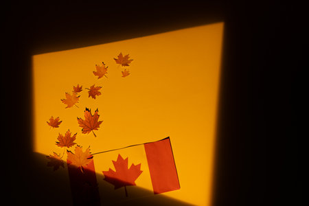 Orangement's day 12 july, great design for any purposes. Vector illustration, eps. Abstract art background vector. Happy celebration. Vector logo. Vector iconの写真素材