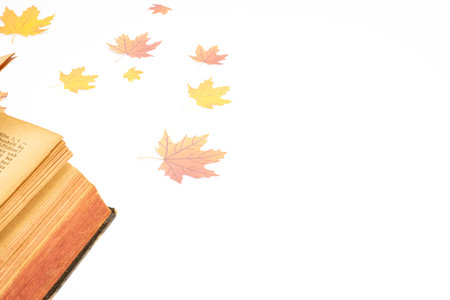 Orangement's day 12 july, great design for any purposes. Vector illustration, eps. Abstract art...