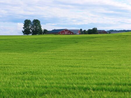 The Countryside of Norway on a Summer Day         の写真素材