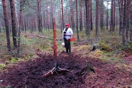 A woman looks at the place  where elk feed の写真素材