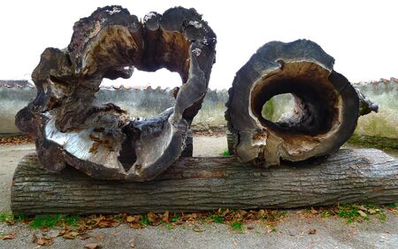 Old weathered oak beams, cracked wood textureの写真素材