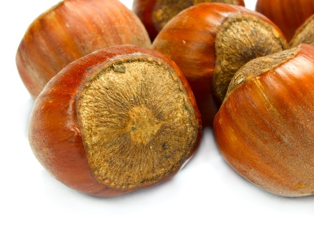 Macro  raw hazelnuts  isolated on white backgroundの写真素材