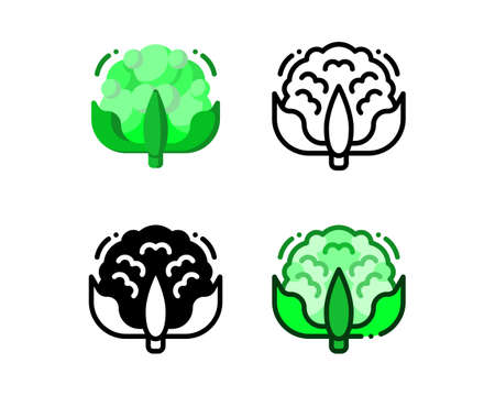 Cauliflower icon. With outline, glyph, filled outline and flat stylesのイラスト素材