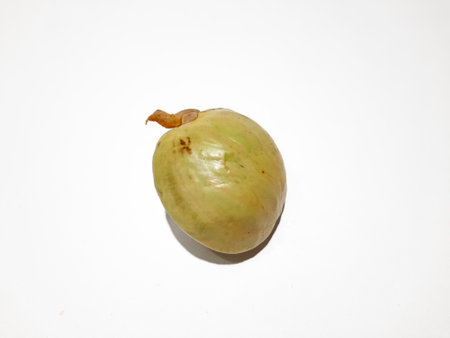 Close up of a jengkol seed - Archidendron pauciflorum, isolated on white background. A popular...