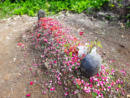 An Indonesian grave covered with colorful flower petals after a pilgrimage visit, reflecting local burial traditions and honoring the deceasedの写真素材