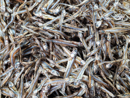 A pile of dried freshwater anchovies known locally as ikan bada in west sumatra, Indonesia. closeup of high-protein salted fish for sale in a traditional market.の写真素材