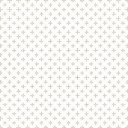 Geometric ornamental pattern. Seamless design. Abstract background texture in geometric ornamental style. Seamless geometric pattern For Fabric design.の写真素材