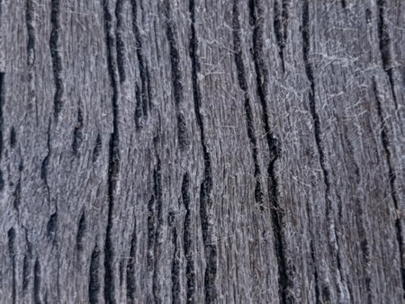 Old wood texture. Wood background. Old wood texture. Wood background.