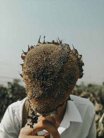 Bangkok, Thailand- April 20,2020:Midsection Of Man Holding Dry Sunflower Against Skyの写真素材