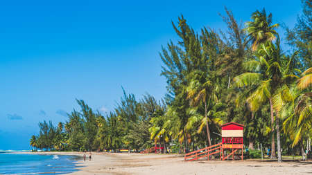 Red Life guard hut and palm trees on tropical beach. Luquillo Beach, Puerto Ricoの写真素材