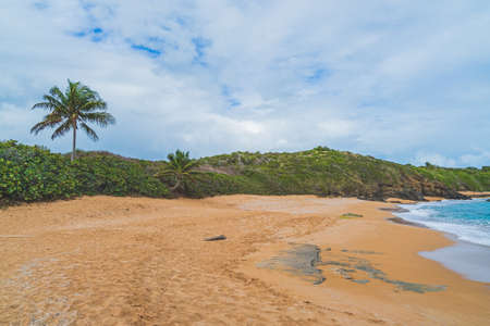 Panoramic view of empty tropical Red sand beach and blue water against blue sky and cloudsの写真素材