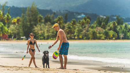 A young attractive couple play with their dog on a beachのeditorial素材