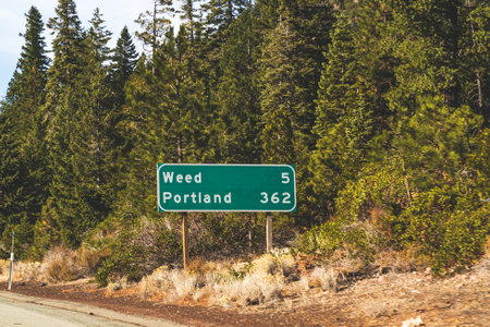 Interstate road sign showing distance to Weed California against treesのeditorial素材