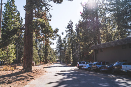 Tranquil view of rural street in Lake Tahoe with cars parkedのeditorial素材