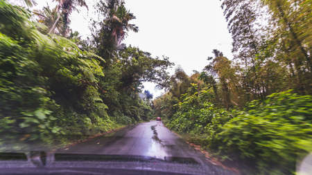 POV driving along paved road in the rainforest of El Yunque, Puerto Ricoの写真素材