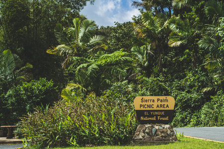 Sierra Palm Picnic area SIgn at the El Yunque National Forestのeditorial素材