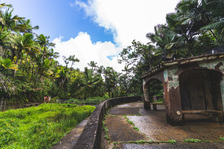 Abandon Bathhouse at Bano Oro Swim area in El Yunque National Forest Puerto Ricoのeditorial素材