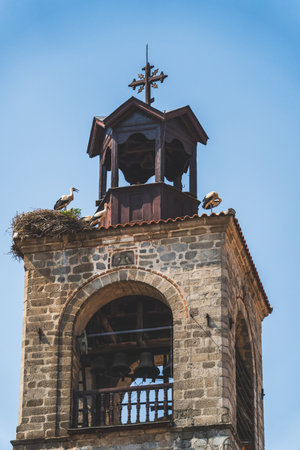 Storks standing on nest atop church bell tower against blue skyのeditorial素材