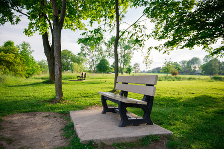 Park Bench in Treed Nature Areaの写真素材