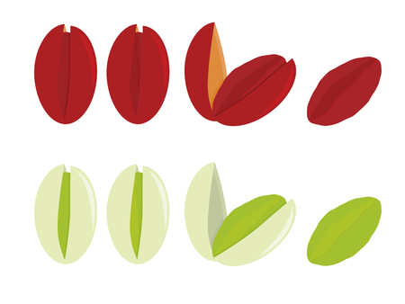 Naturally shaded and red dyed pistachios isolated on a white backgroundのイラスト素材