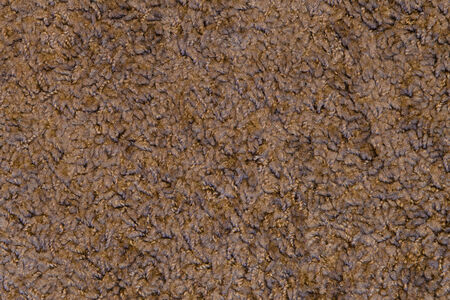 Carpet Texture