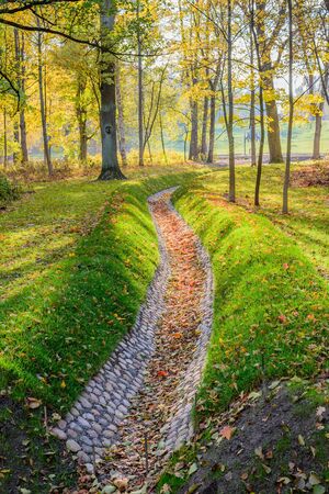 Beautiful autumn Park, St. Petersburg, Russia.の写真素材