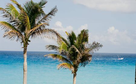 Para sailing in Cancun Mexicoの写真素材