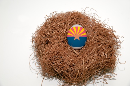 Nest egg with state of Arizona flag painted on the eggの写真素材
