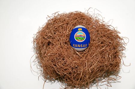 Nest egg with state of Kansas flag painted on the eggの写真素材